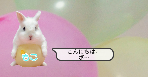 風船うさぎモコちゃん物語 風船うさぎモコちゃん Kakuzoo 旧 ストリエ 風船うさぎモコちゃん物語 風船うさぎモコちゃん Kakuzoo 旧 ストリエ