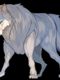 狼a 準 Kakuzoo 旧 ストリエ 狼a 準 Kakuzoo 旧 ストリエ