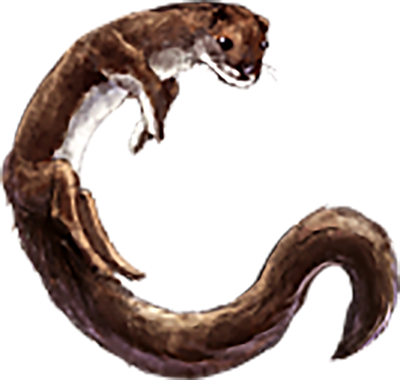 ぬりかべ Qut ストリエ ぬりかべ Qut ストリエ