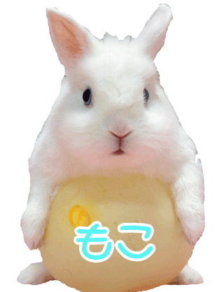 風船うさぎモコちゃん物語 風船うさぎモコちゃん ストリエ 風船うさぎモコちゃん物語 風船うさぎモコちゃん ストリエ